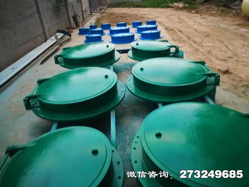 霸州市政管道口玻璃钢拍门