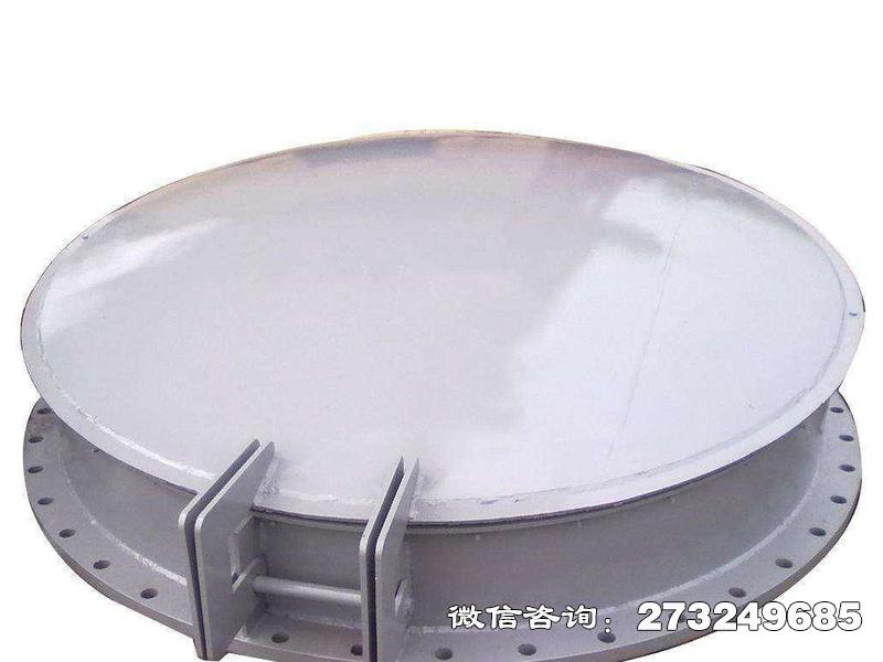 西青铸铁钢制拍门